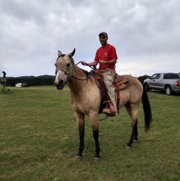 Meet your Posher, Oscar - Picture 1 of 1